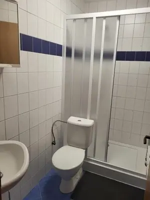 a bathroom with a toilet and a sink at Komárov Apartment 2 in Komárov
