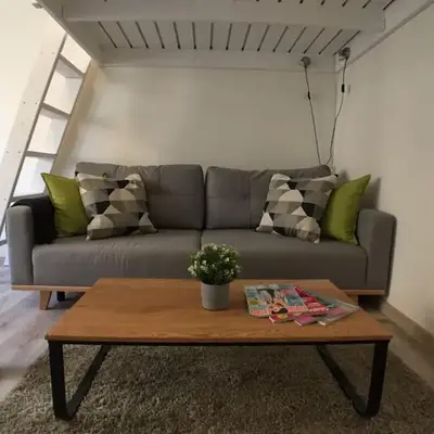 STYLISH FLAT IN PRAGUE - Vinohrady