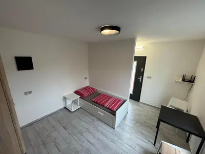 a room with a couch with red pillows on it at U tří koček in Herink