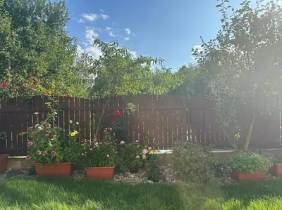 a wooden fence with some flowers in a yard at Family-Friendly Prague 5 Stay in Prague