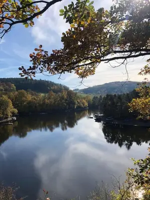 a view of a lake with trees and clouds in the water at Лесной Коттедж Нова in Živohošť