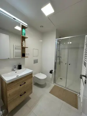 a bathroom with a shower and a sink and a toilet at Smíchov City apartment - Albrigtova in Prague