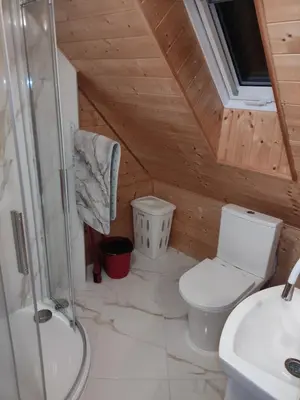 a shower with a glass door in a bathroom at Apartmán Roztoky u Křivoklátu in Roztoky