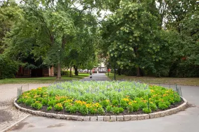 a garden of flowers in a park with trees at Blueground - Vrsovice, furnished in Prague