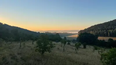a view of a field with trees in the distance at Ztracený Sad - Glamping na samotě in Nečín