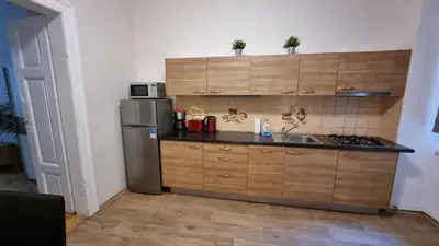a kitchen with a sink and a refrigerator at Apartment Krakovska 20 in Prague