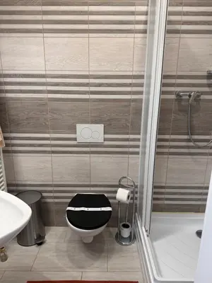 a bathroom with a toilet with a black and white seat at Arbes 10 - At the yellow Duck in Prague