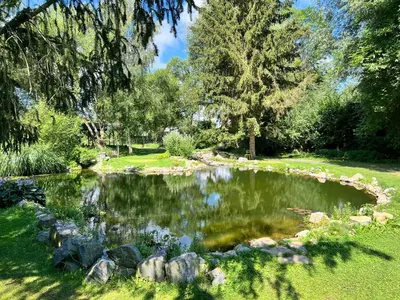 a pond in a park with trees and grass at Biotop Kotlyk in Netvořice