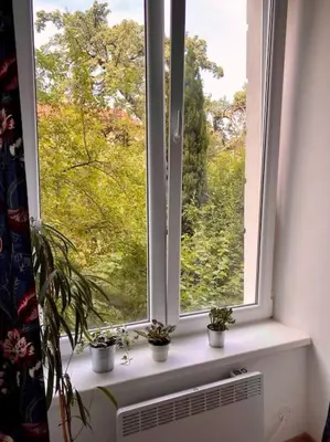 a window with potted plants on a white window sill at Cute botanical flat near by Žižkov tower in Prague