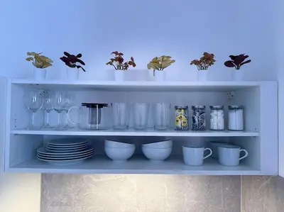 a kitchen with a table with a plate of food on it at Red Currant - Prague Apartment in Prague