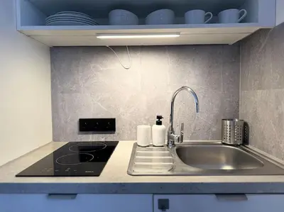 a kitchen counter with a sink and a stove at Red Currant - Prague Apartment in Prague