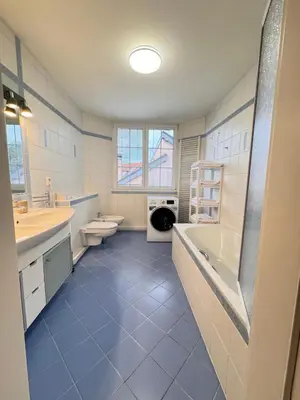 a bathroom with a sink and a toilet and a tub at DiamondVilla, 4 bedroom Apartment, garden & spa in Prague