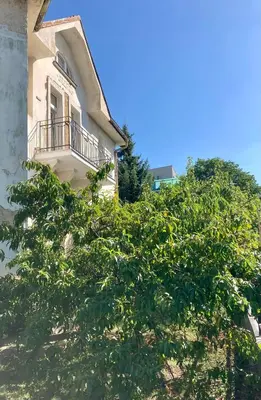 a tree in front of a building with a balcony at Soukromý pokoj v rodinném domě in Prague