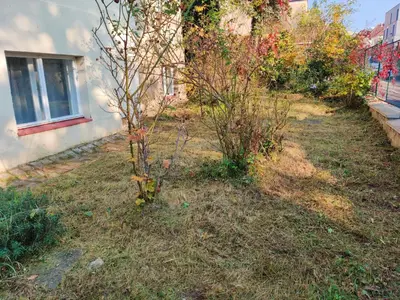 a small tree in a yard next to a building at Apartment in house with private parking and garden in Prague