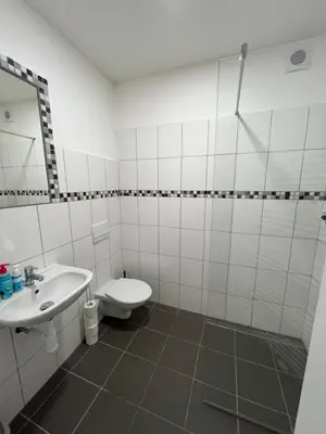 a white bathroom with a toilet and a sink at Penzion Kopanský mlýn in Statenice