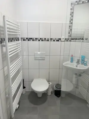 a white bathroom with a toilet and a sink at Penzion Kopanský mlýn in Statenice