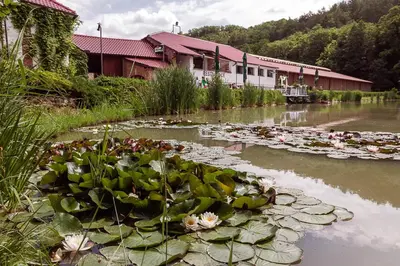a pond with lots of lily pads and a building at Penzion Kopanský mlýn in Statenice