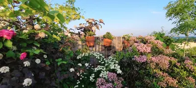 a fence covered in flowers and plants at Guestrooms, rooftop with garden, spacious living room, character and fireplace in Prague