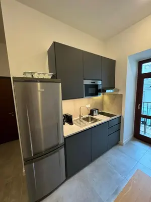 a kitchen with a stainless steel refrigerator and a sink at Cool Vitkova apartment with balcony in Prague