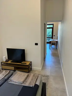 a living room with a bed and a television at Cool Vitkova apartment with balcony in Prague