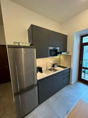 a kitchen with a stainless steel refrigerator and a sink at 1 Bed Flat - Sleeps 2 - Pets - Smoking on terrace in Prague