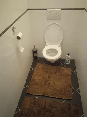 a bathroom with a toilet with a rug on the floor at Byt Vinoř in Prague