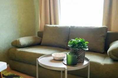 a living room with a couch and a table with a plant at Residence 60 free parking&wifi in Prague