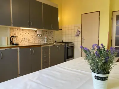 a kitchen with a vase with purple flowers on a counter at Spacious apartment - free parking! in Prague