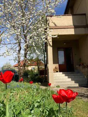 a group of red flowers in front of a house at Spacious apartment - free parking! in Prague