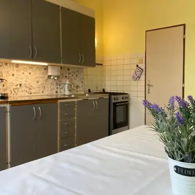 Spacious apartment - free parking!