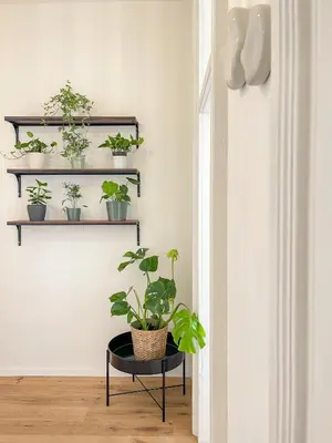 a room with plants on shelves and a table at Powder Tower Residence in Prague