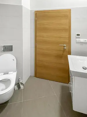 a bathroom with a toilet and a wooden door at Nebeský apartmán in Prague