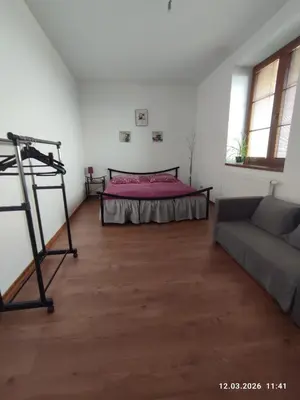 a dining room with a table and chairs and a plant at Villa Homestay Nad Helmrovkou in Prague