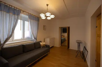 a living room with a couch and a fireplace at U Čertovy brázdy in Sázava
