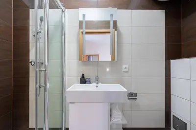 a bathroom with a sink and a shower at Charming Spacious Apartment in Central Prague in Prague