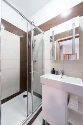 a bathroom with a sink and a shower at Charming Spacious Apartment in Central Prague in Prague
