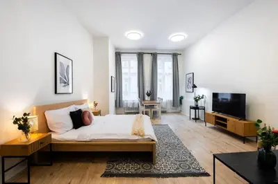 a large room with a bed and a television at Elegant Spacious Old Town Studio in Prague