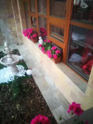 a garden with flowers and a fountain in front of a building at Villa Barrandov pokoj 3 in Prague