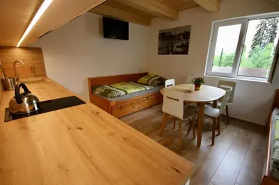a room with a kitchen and a table and a bed at Apartmány Kanoistika Roudnice in Vědomice