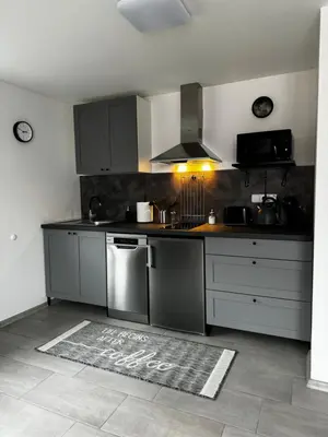 a kitchen with stainless steel appliances in a room at Apartmán 2 Jägerhaus in Libochovice