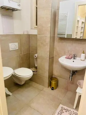 a bathroom with a toilet and a sink at Amethyst apartment in Prague