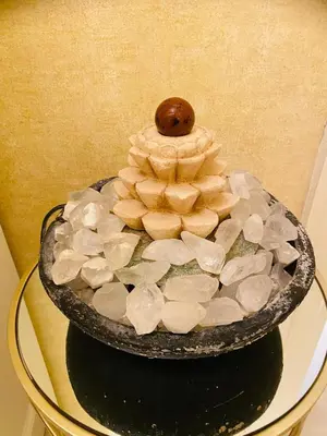 a plate with a christmas tree made out of shells and a nut at Amethyst apartment in Prague
