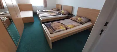 two beds in a room with green carpet at Penzion Eška s Pivovarem MJ in Jince