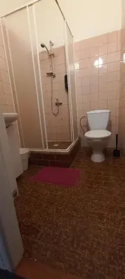 a bathroom with a shower and a toilet at Penzion Eška s Pivovarem MJ in Jince