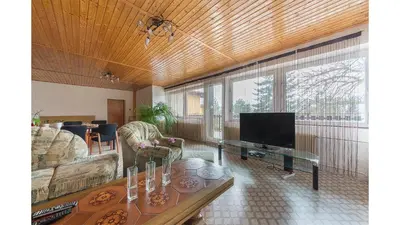 a living room with a couch and a television at Apartmán Vrané in Vrané nad Vltavou