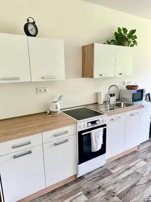 a kitchen with white cabinets and a stove top oven at Dolpo 55 in Benešov