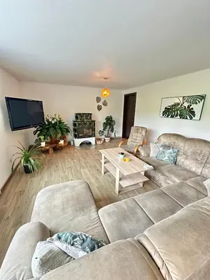 a living room with a couch and a tv at Dolpo 55 in Benešov