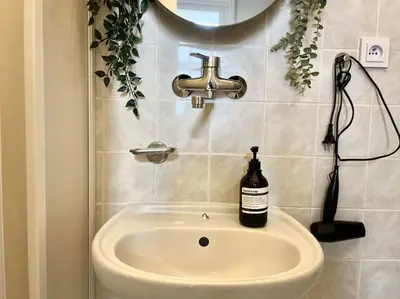 a bathroom sink with a bottle of soap on it at Wenceslas - Prague Apartment in Prague