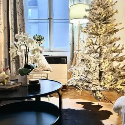 Wenceslas - Prague Apartment