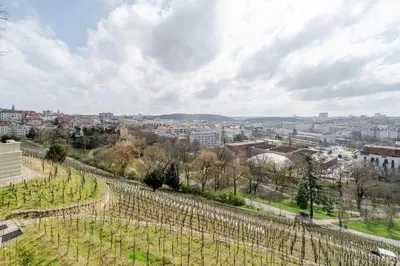 a view of a city with a bunch of vines at Blueground Vršovice private terrace equipped PRG-4 in Prague